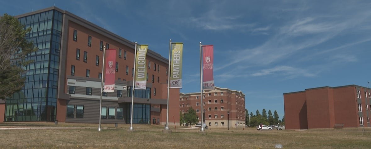 Red brick buildings and colourful flags on a university campus. 