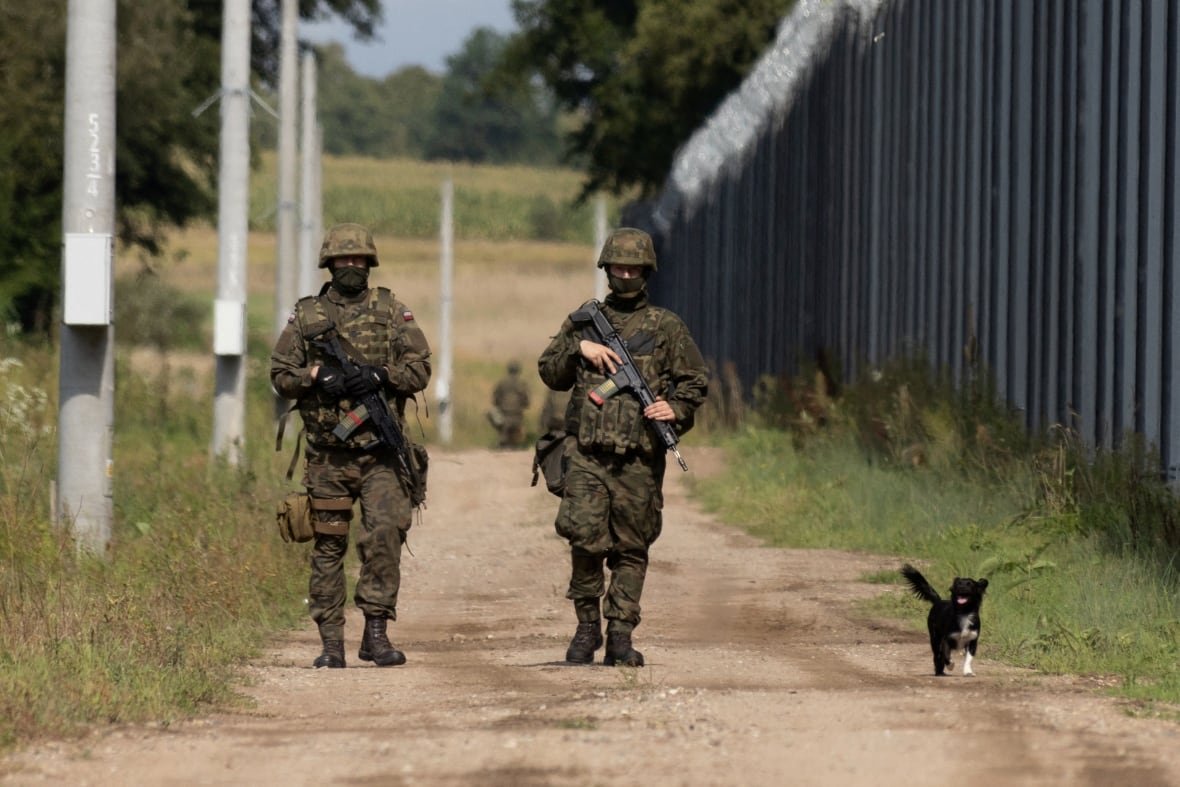 A puppy trots down a path with two soldiers by a wall.