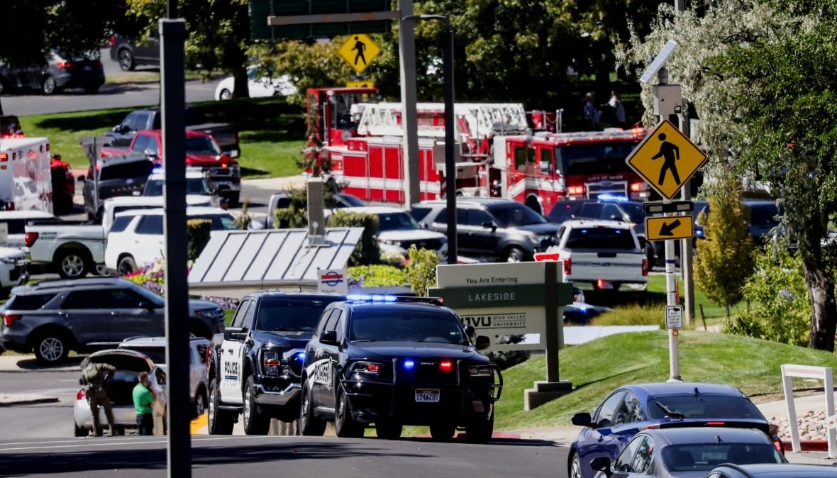 Police cars sit at the side of a road where other cars are also parked. A fire truck is visible beyond them. 