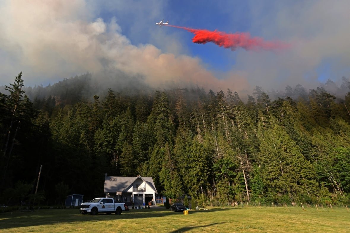 A plane drops red fire retardant.