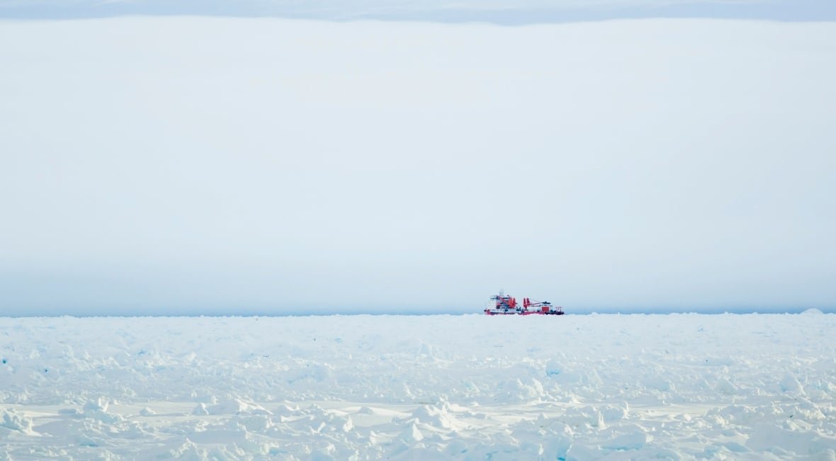 A ship is faintly visible in the distance amid ice pack and a wide, white sky.