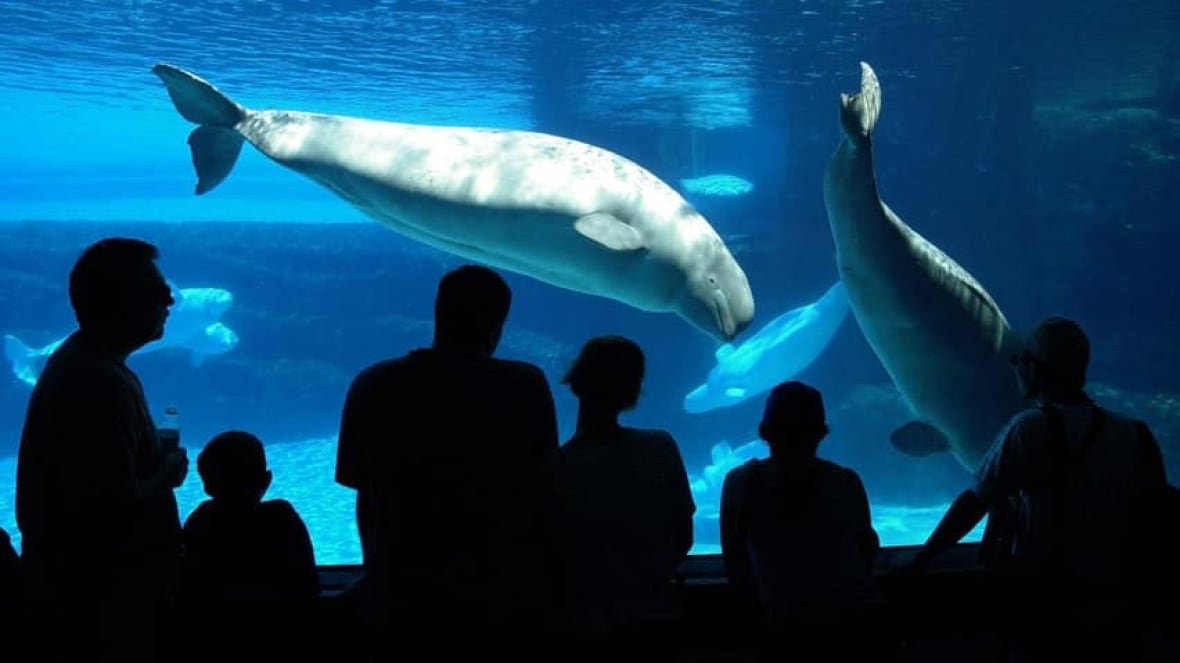 Kids at Marineland.