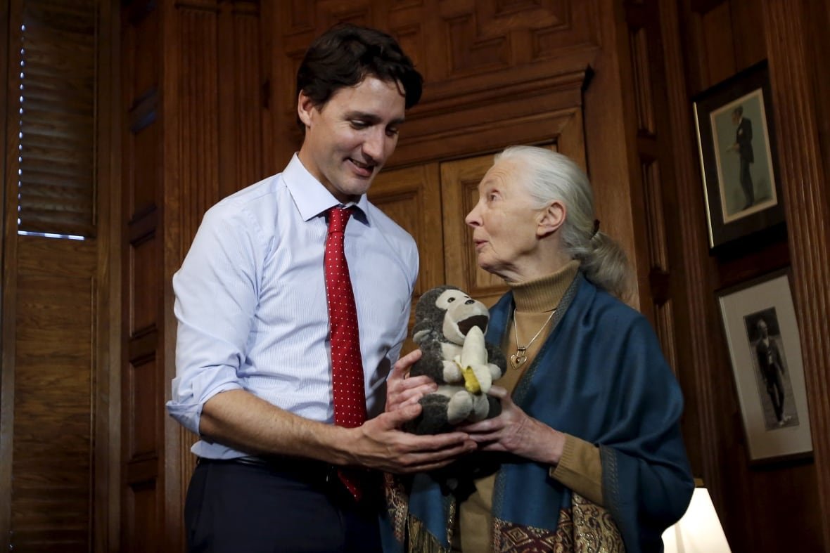 Justin Trudeau, with dark hair and wearing a white shirt and red tie, stands next to Jane Goodall, with long grey hair and wearing a blue shall over a golden brown turtle neck. The two of them are holding a stuffed toy monkey with a banana in its hands.