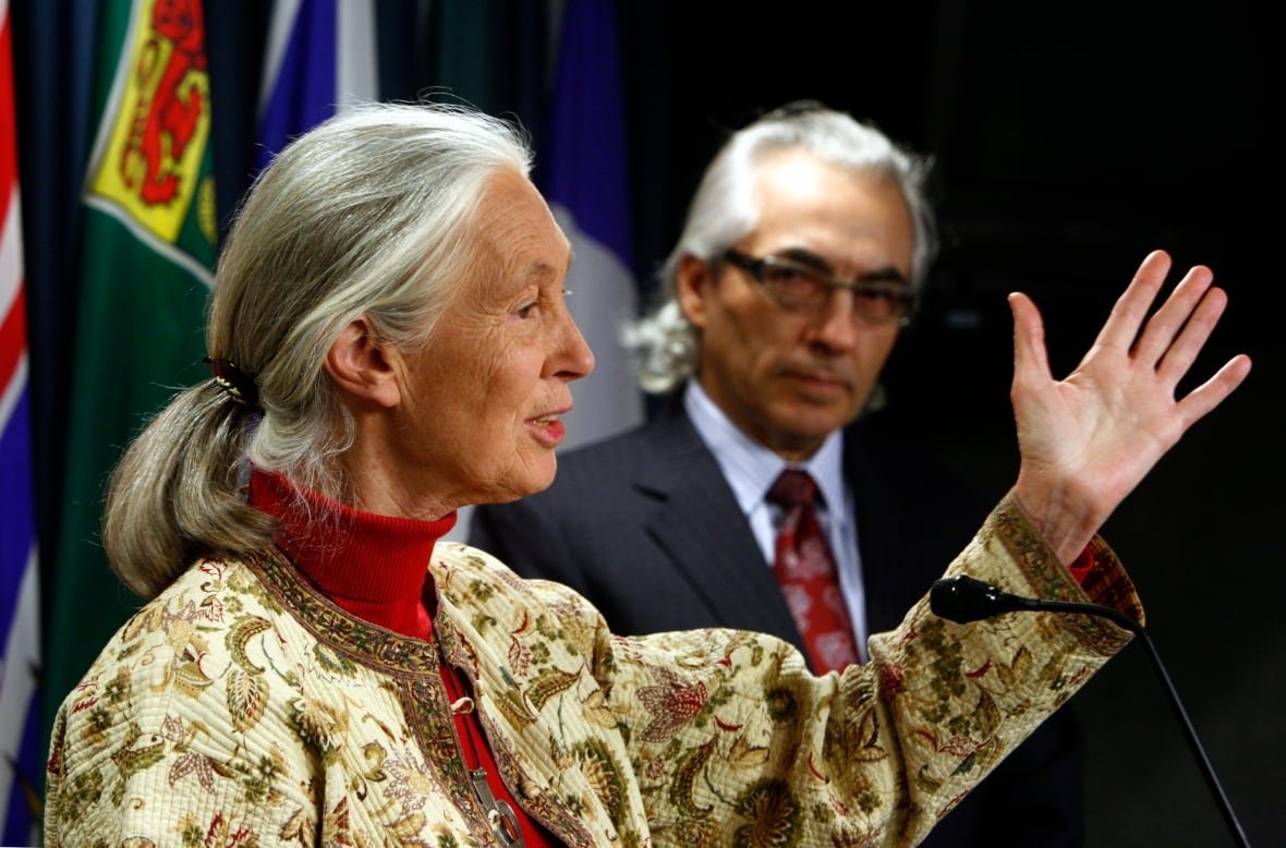 Jane Goodall, with her long grey hair tied back in a bun and wearing white jacket with a brownish-green paisley-like print, stands at a microphone with her left hand raised. Beside her is a First Nations man with grey hair, dark glasses and wearing a dark blue suit with a red tie.