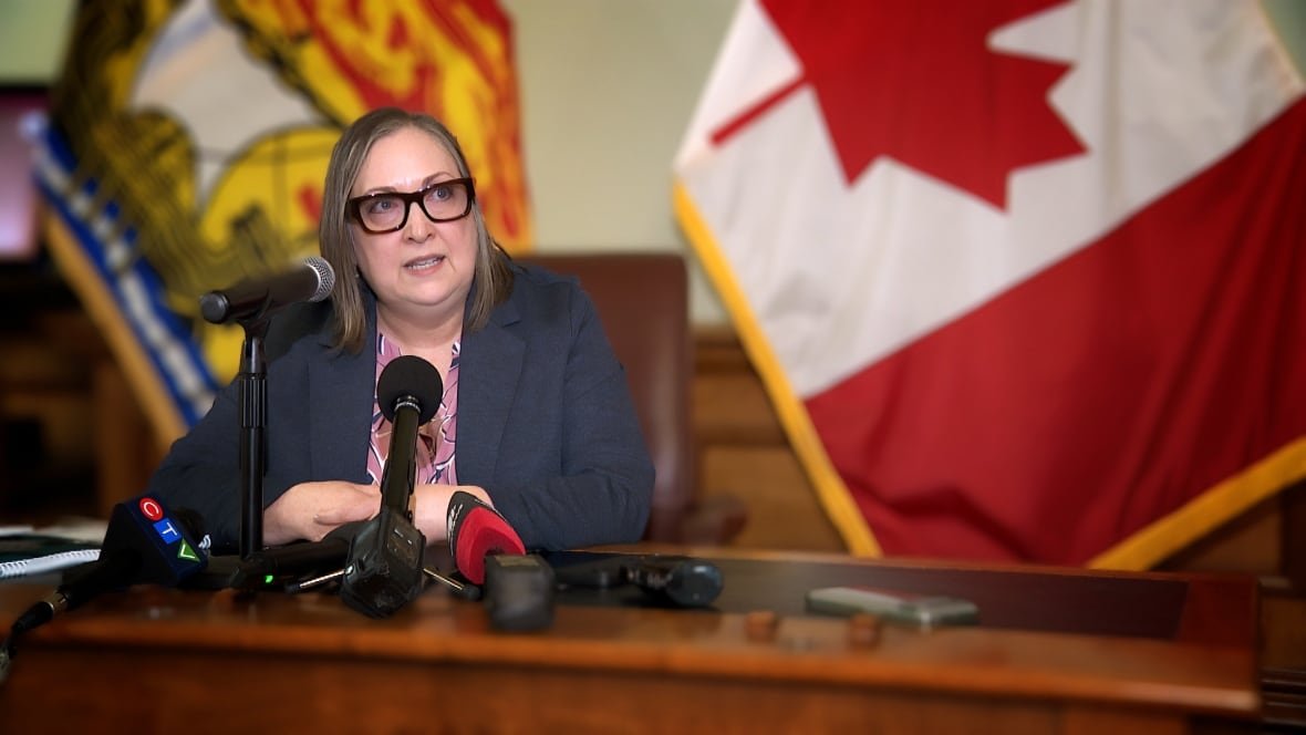 A woman wearing glasses with dark square frames, a dark blazer and pink shirt speaks into a microphone while sitting at a table and looking to the right side. A New Brunswick flag is in the background on the left and a Canada flag on the right.