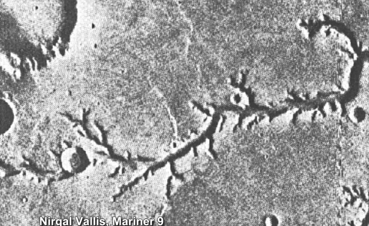 A grainy black and white photo shows what looks like a giant root with branches coming off of it that were originally thought to be constructed canals.