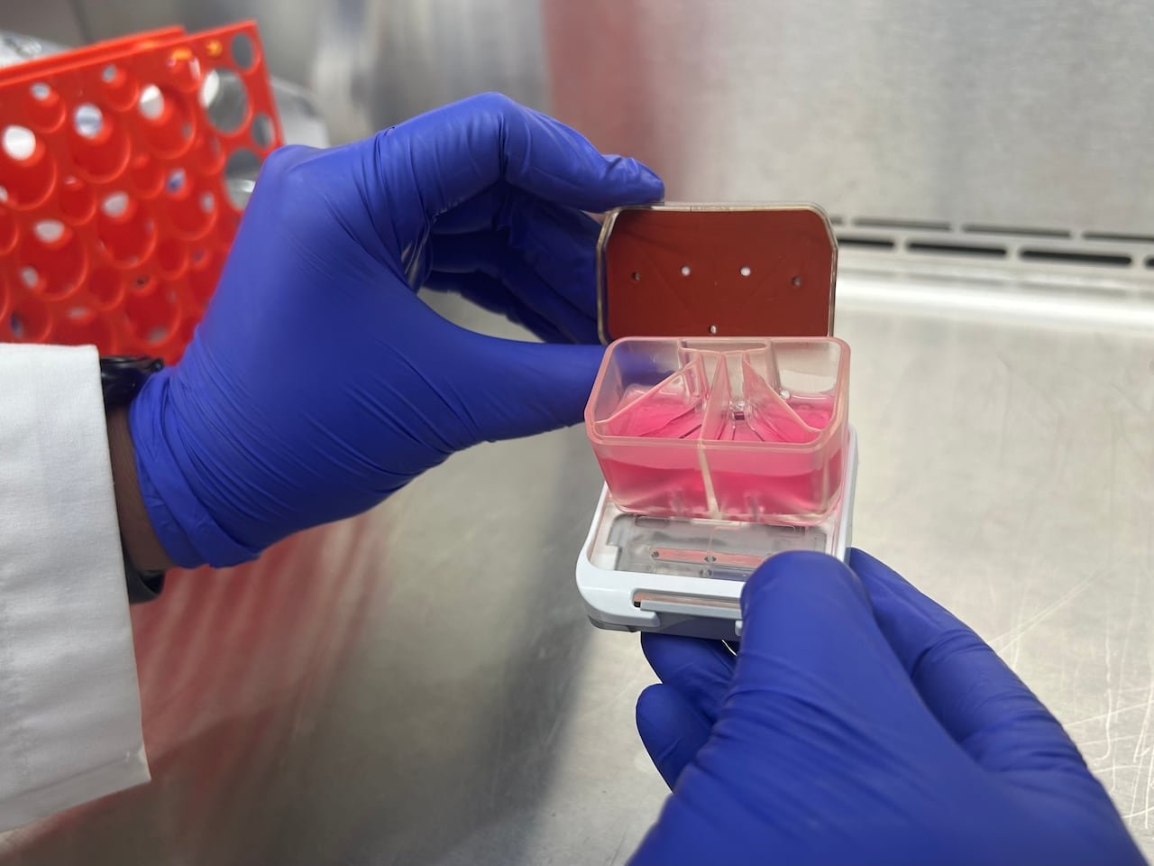 An organ on a chip device with a multi-part chamber containing pink fluid and cells on a metallic and plastic surface.