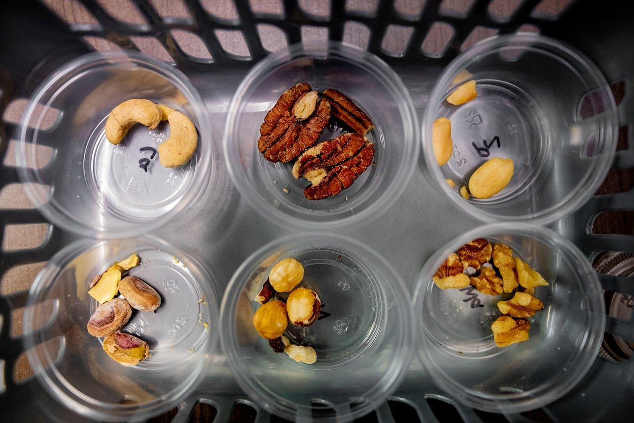 an array of nuts sit at the bottom of six plastic cups, each marked on the bottom to label the contents. 