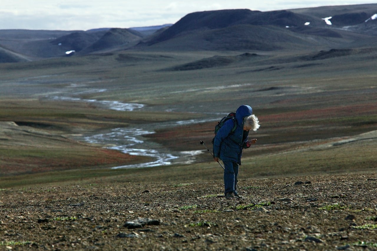 Woman with backpack standing on treeless landscape, looking at ground