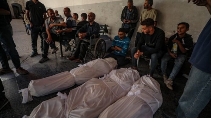 We Survived The War, We May Not Survive The Ceasefire - Dubai News TV